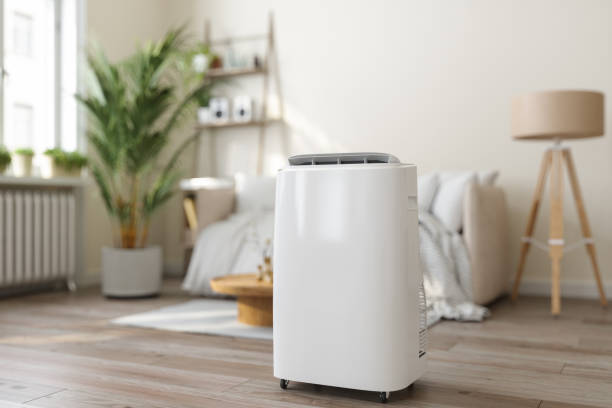 Best Air quality test  in Roebling, NJ